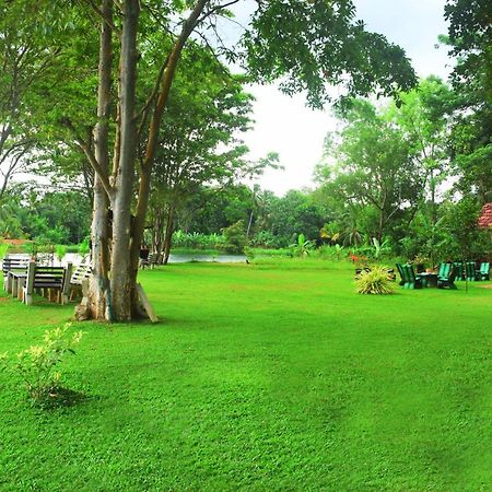 Canal Side Safari Resort Udawalawe Exteriér fotografie