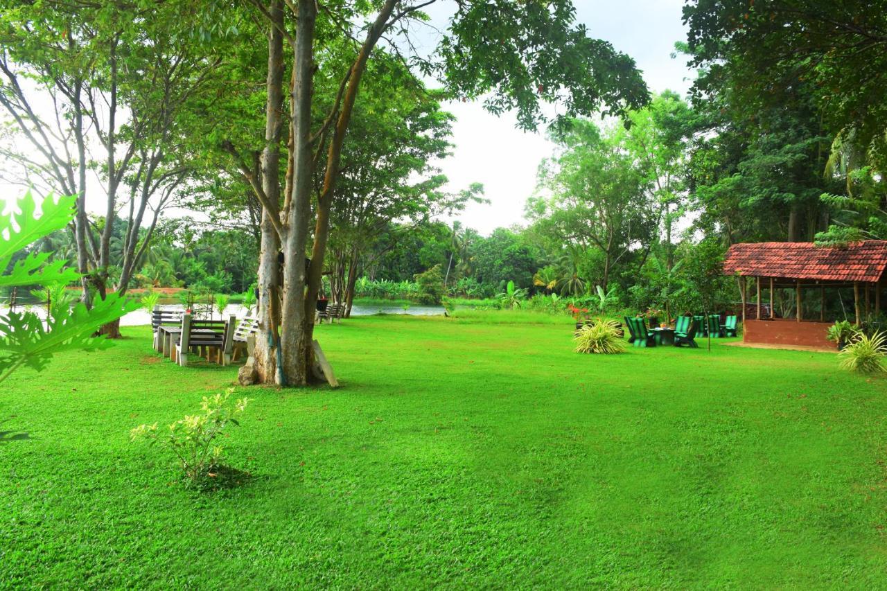 Canal Side Safari Resort Udawalawe Exteriér fotografie