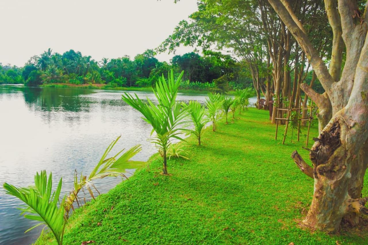 Canal Side Safari Resort Udawalawe Exteriér fotografie